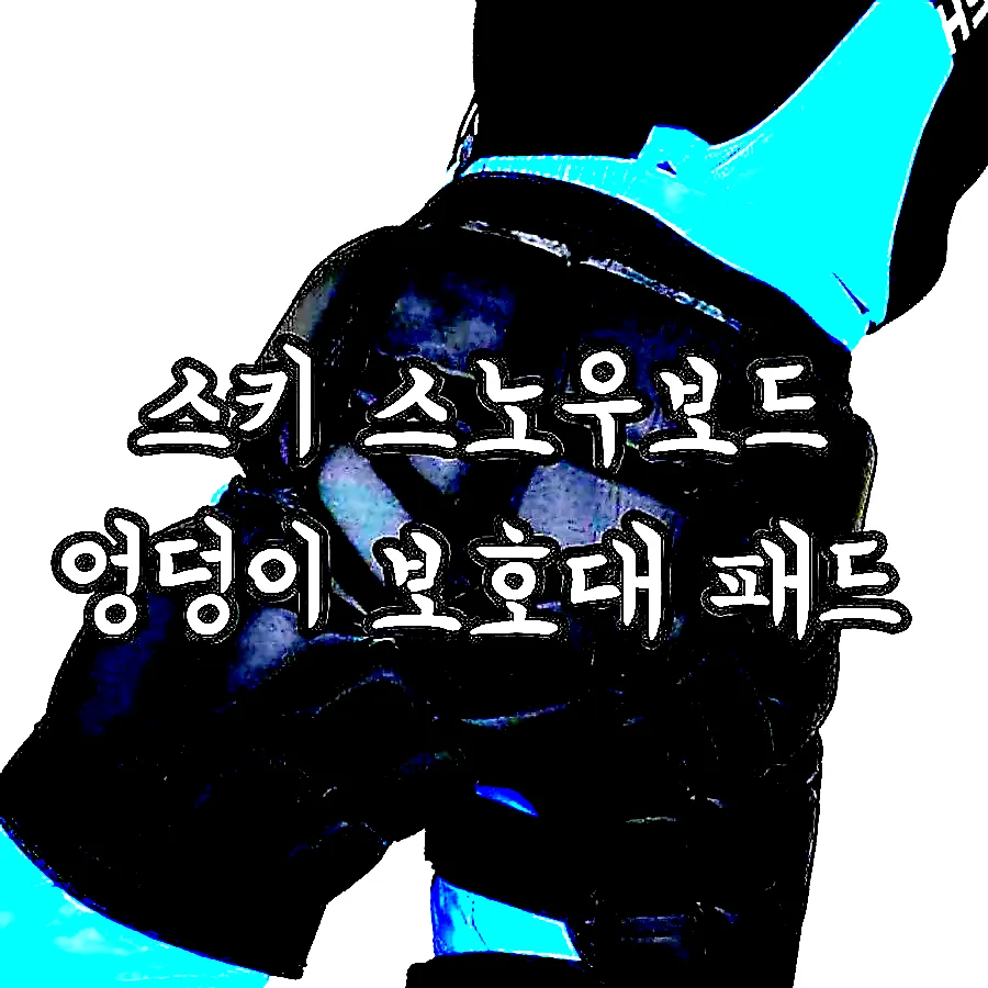 스키 스노우보드 엉덩이 보호대 패드 이미지 1