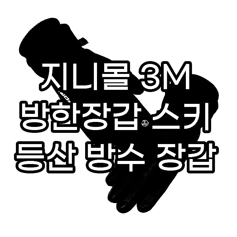 지니몰 3M 방한장갑 스키 등산 방수 장갑 이미지 1 지니몰 3M 방한장갑 스키 등산 방수 장갑 이미지 1
