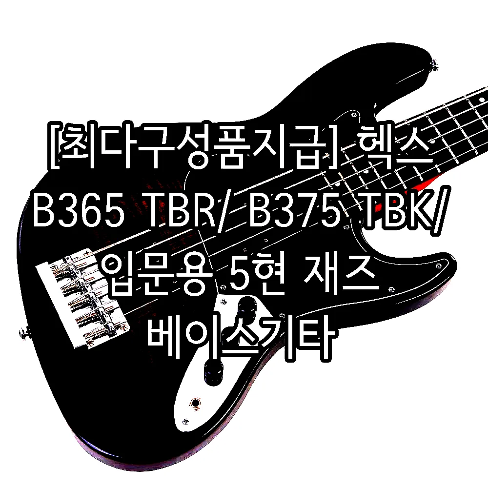 [최다구성품지급] 헥스 B365 TBR/ B375 TBK/ 입문용 5현 재즈 베이스기타 이미지 7