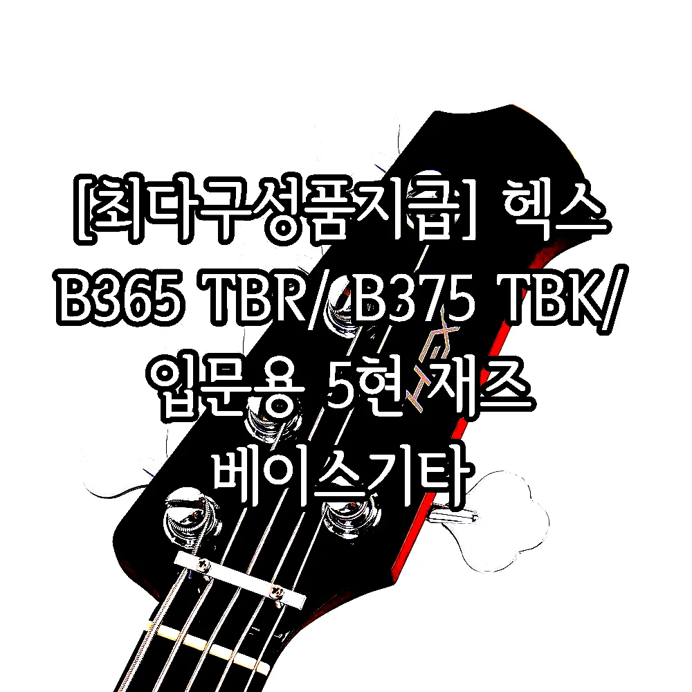 [최다구성품지급] 헥스 B365 TBR/ B375 TBK/ 입문용 5현 재즈 베이스기타 이미지 8